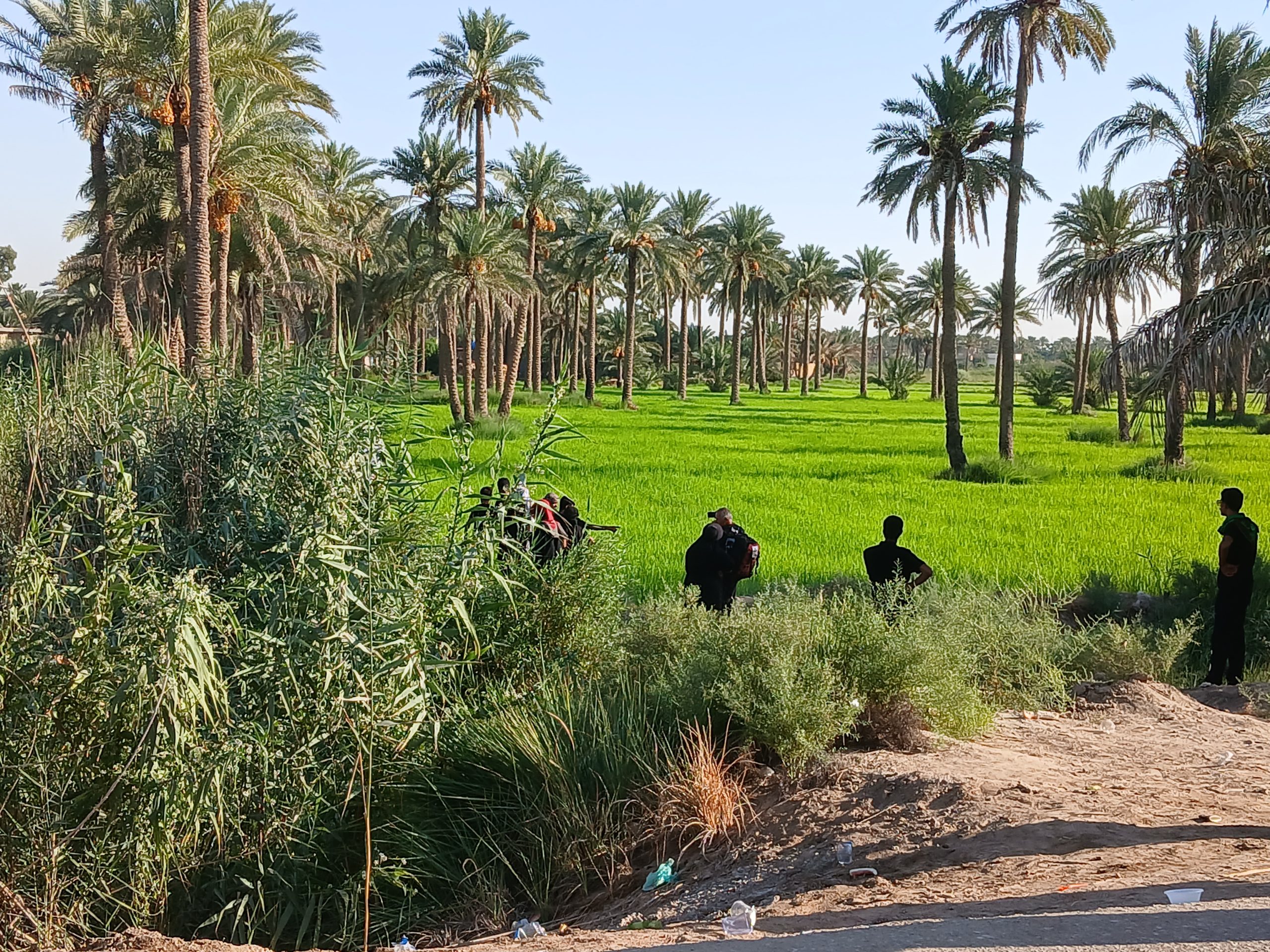 سوغات محبوبه امیری کاکلکی